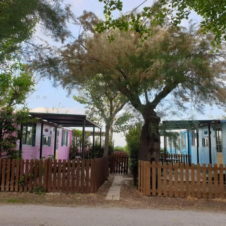 Pet Family Camping Cortina Hotel Senigallia Buitenkant foto